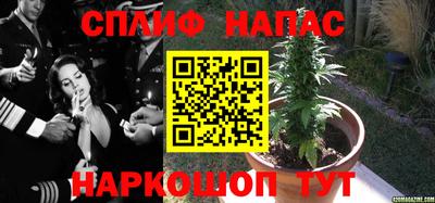 бошки Ливны