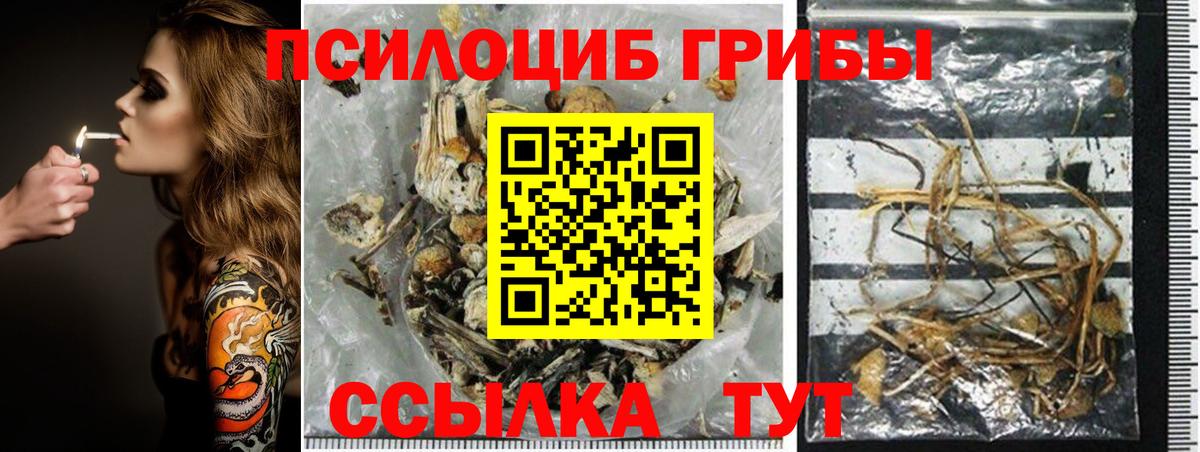 Псилоцибиновые грибы Magic Shrooms Серпухов